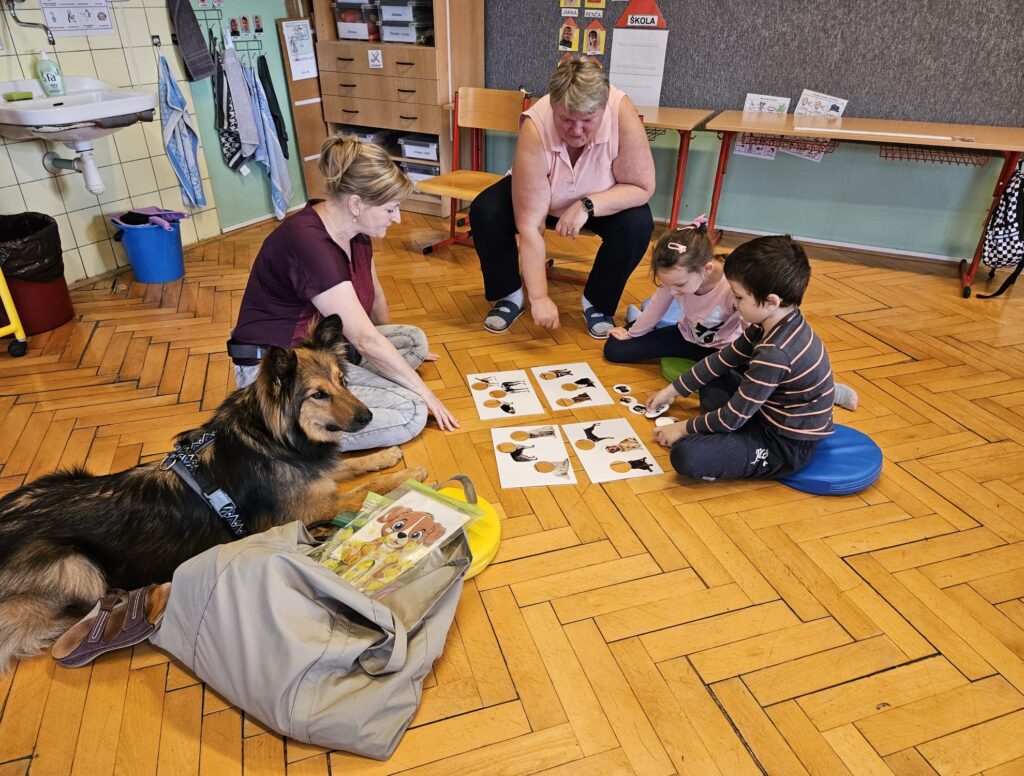 Canisterapie ve škole